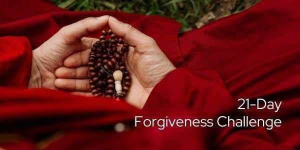 Forgiveness Challenge – Enlightened Education