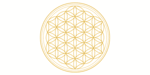 The Golden Circle – Enlightened Education